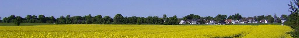 Fu&szlig;banner