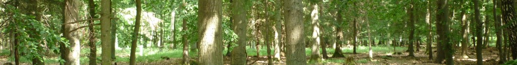 Fu&szlig;banner