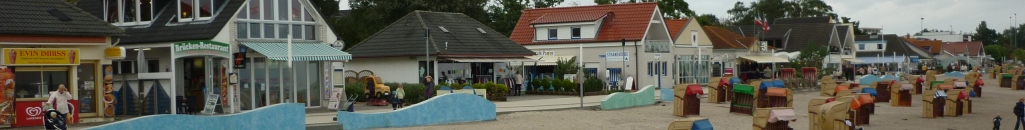Fu&szlig;banner