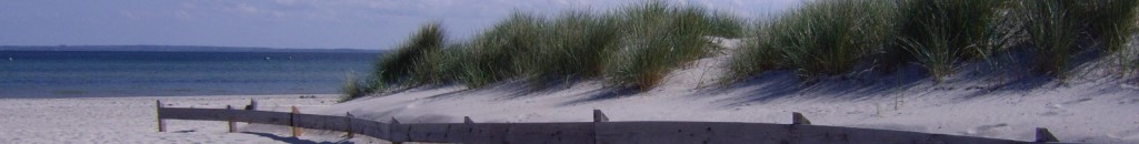 Fu&szlig;banner