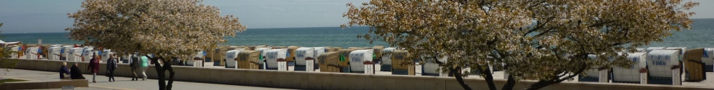 Fu&szlig;banner